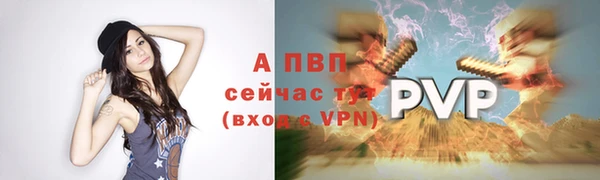 индика Волоколамск