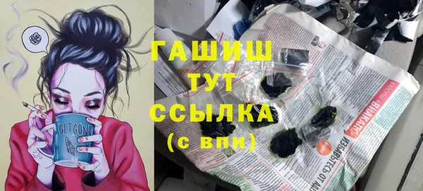 индика Волоколамск