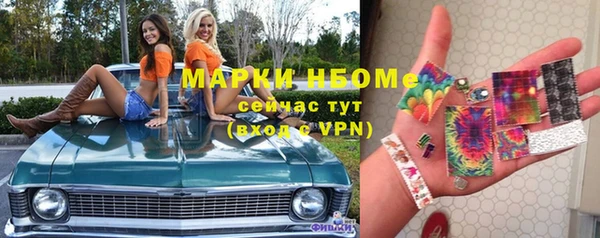 индика Волоколамск