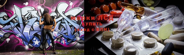 индика Волоколамск