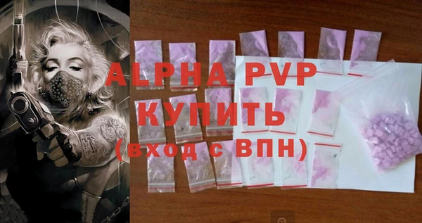 индика Волоколамск