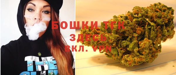 индика Волоколамск
