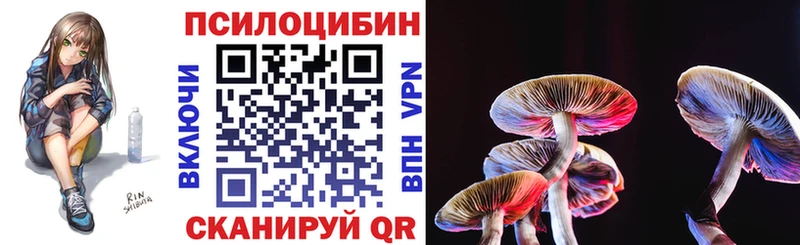 купить наркоту  MEGA как зайти  Псилоцибиновые грибы GOLDEN TEACHER  Рузаевка 