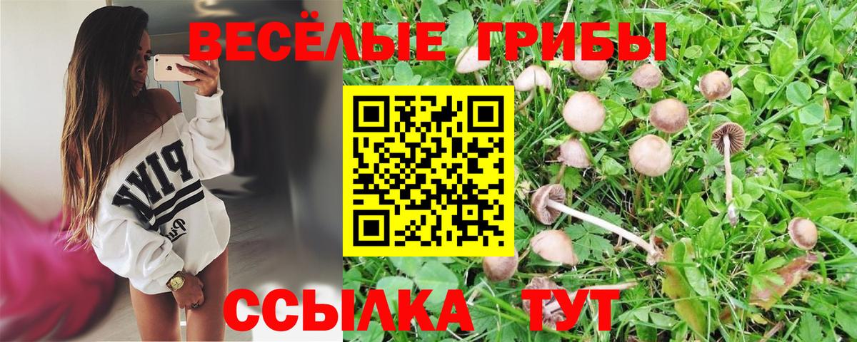 Псилоцибиновые грибы мицелий Рузаевка